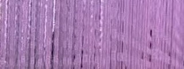 さくま りる .さんの壁紙画像