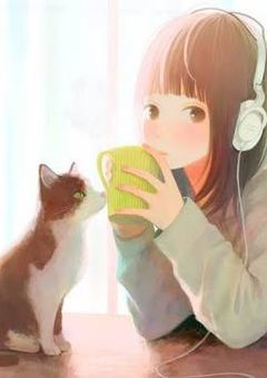 捨てられる猫いれば拾う神あり