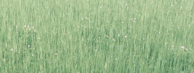 ☆*:.。. 希 良 .。.:*☆さんの壁紙画像