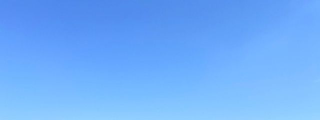 柚子さんの壁紙画像