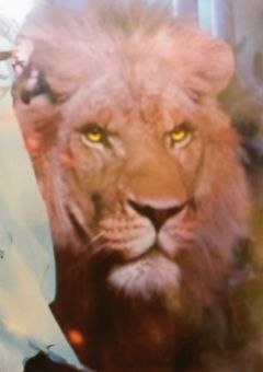 SCAR．