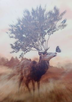 恋愛偏差値