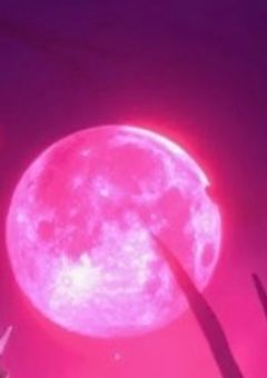 njsj " 四 に も 奇 妙 な 噂 話 。