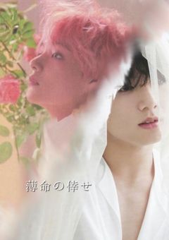 『薄命の倖せ』＋ BTS 短編集 