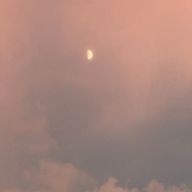 Dicさんのアイコン画像