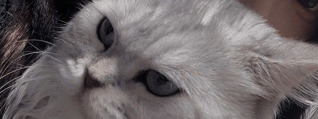 서 아  . 🌙さんの壁紙画像