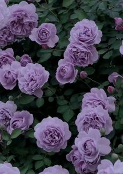 腐LINEグループ#通知が止まりません