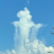 ゆらさんのアイコン画像