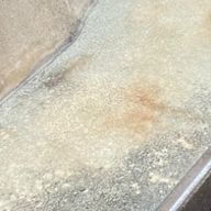 𝙼𝙸𝚈𝚄💙❤️❤︎💕さんのアイコン画像