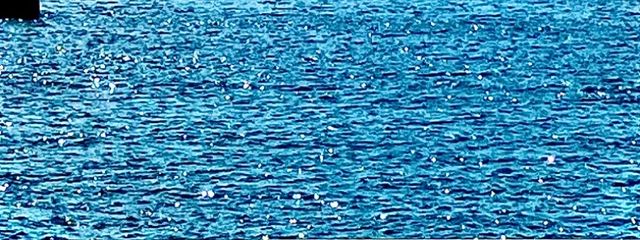 名無しの匿名さんの壁紙画像