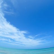 まおこサブ垢さんのアイコン画像