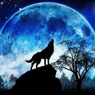 ウルフ🐺さんのアイコン画像