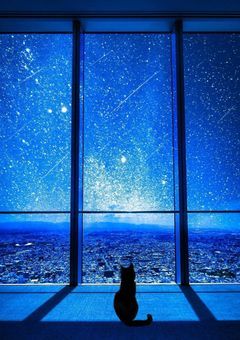 それっていけないこと？