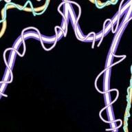 ⓡⓤⓡⓐ❅㊈㊀㊂㊄㊀㊃(投稿日程 土曜日7:00pm)さんのアイコン画像