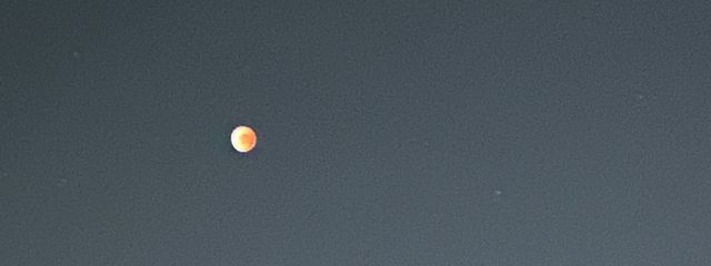 桜色 .さんの壁紙画像