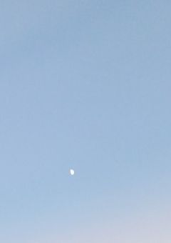 ぺちゃんこ日和