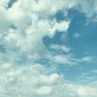 むーさんさんのアイコン画像