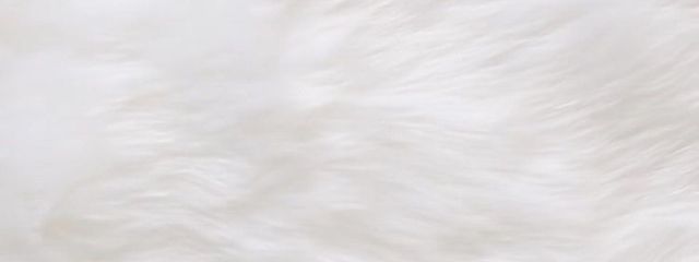 🐇‎🤍さんの壁紙画像