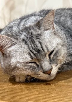 フォローさせていただいている皆様へ