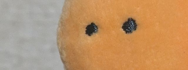 うめぼし＠🎮🍮🩶さんの壁紙画像