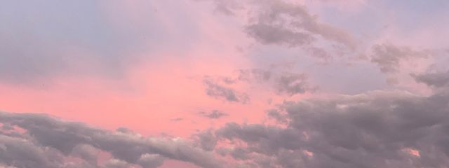 (´∀｀)   💐🍵🧡さんの壁紙画像