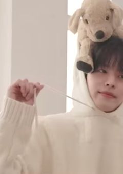 す て ら れ た こ い ぬ