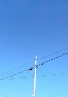 🚪🗝     お  依  頼   募  集