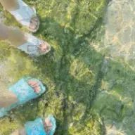 しゅら様さんのアイコン画像