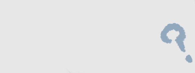 インコはincoさんの壁紙画像