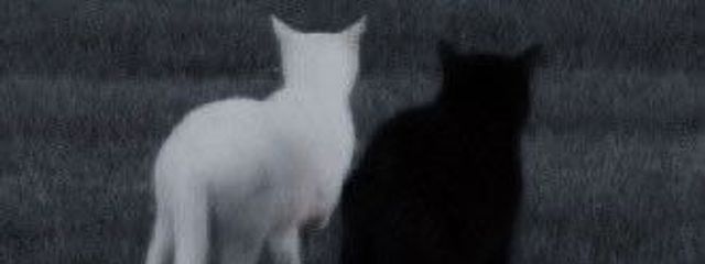 　　堕姫　.　　さんの壁紙画像