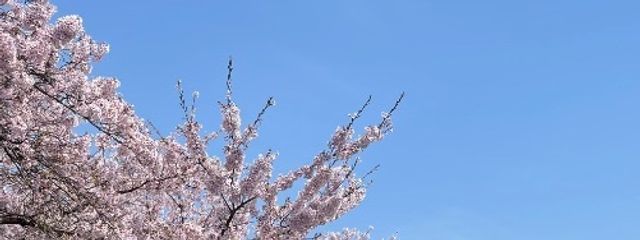 🎐@受験生なので低浮(たぶん)さんの壁紙画像