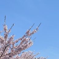 🎐さんのアイコン画像