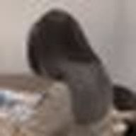 penaaaaaさんのアイコン画像