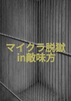 マイクラ脱獄(敵味方)