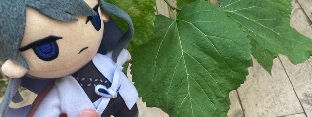 はるさんの壁紙画像