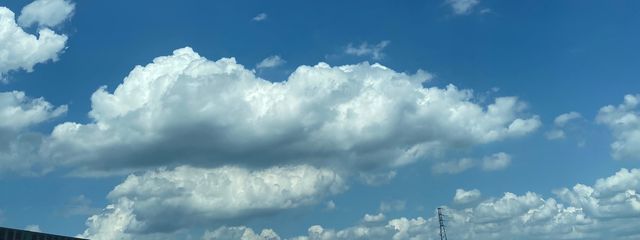 ほしさんの壁紙画像