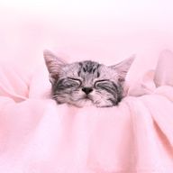 T，Ｋさんのアイコン画像