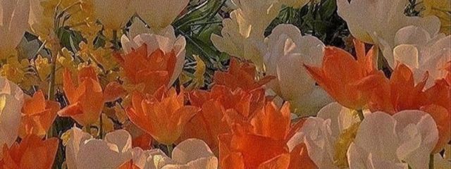 はてな❔さんの壁紙画像