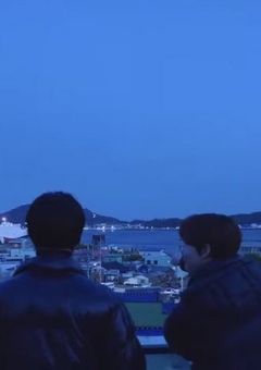 蝶🦋とコアラ🐨