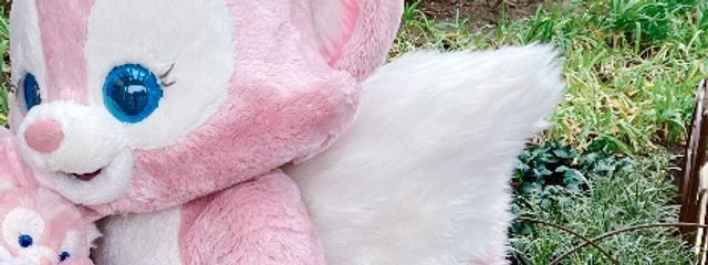 のあさんの壁紙画像