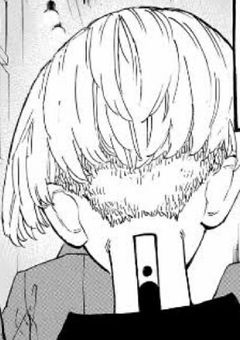 梵 天 の 姫  が  お 子 ち ゃ ま な 件 に つ い て 