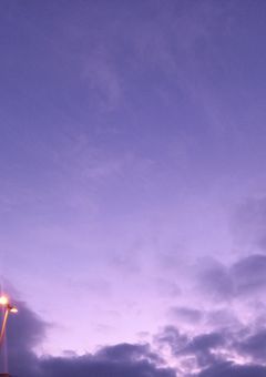 作者のふと思ったことを書き込むだけ