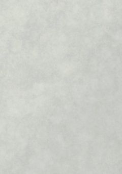 学校一の美人