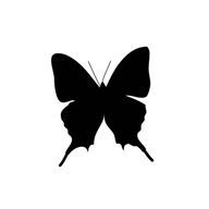 凜々リリさんのアイコン画像