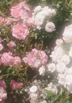 世界の片隅、ふたりだけの体温【へ列ア  短編集＆反応集】