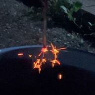 Rｉａｎ*. ﾟさんのアイコン画像