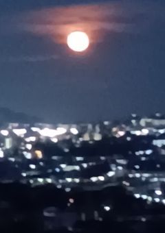 甘くない指輪と恋心───。