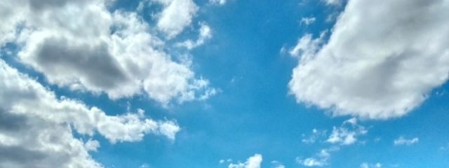 まりさんの壁紙画像