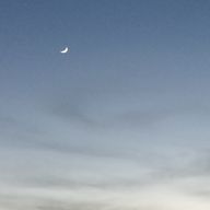 まりさんのアイコン画像