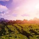 TAMAKEY